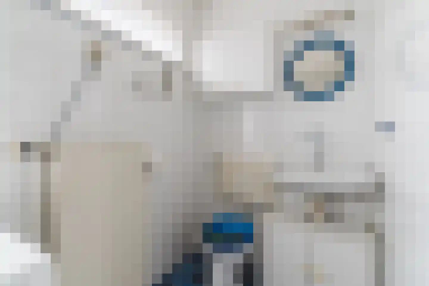Beemke 9 Netersel thumbnail 31