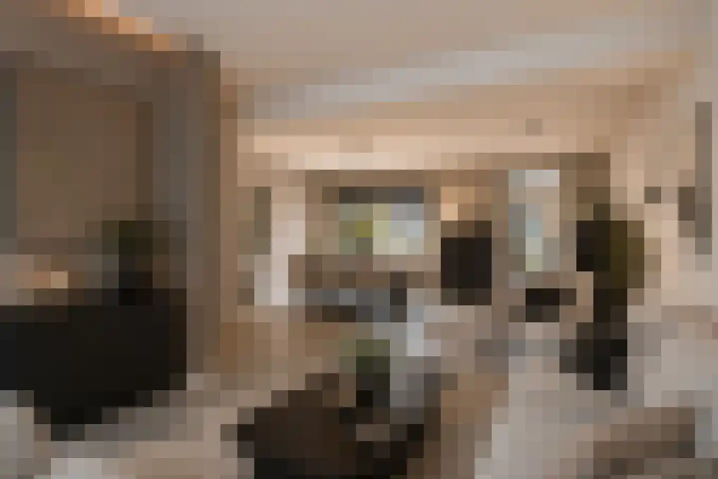 Beemke 9 Netersel thumbnail 4
