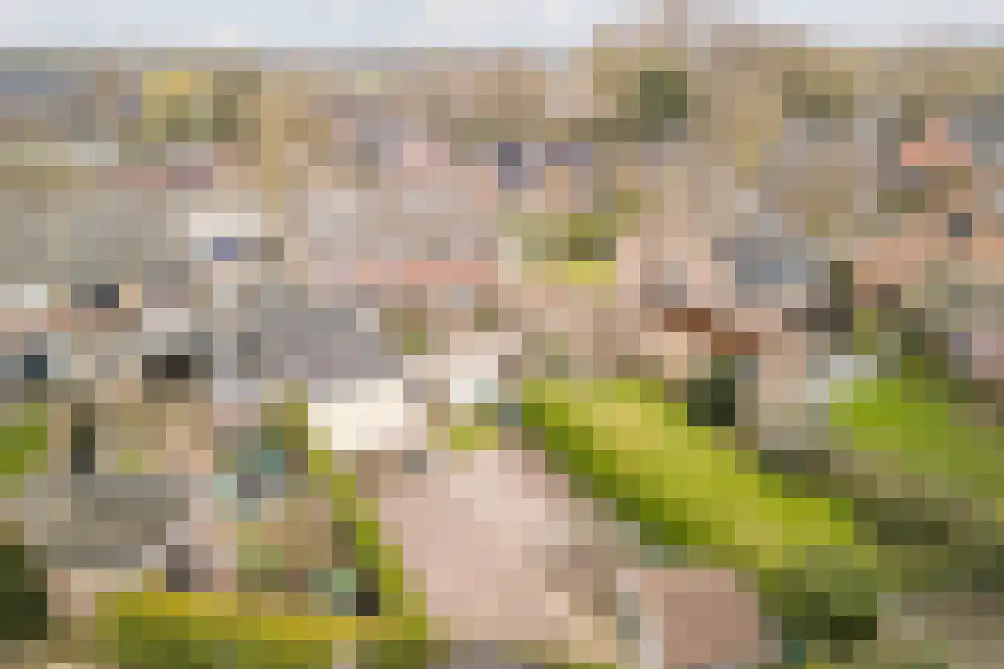 Beemke 9 Netersel thumbnail 47