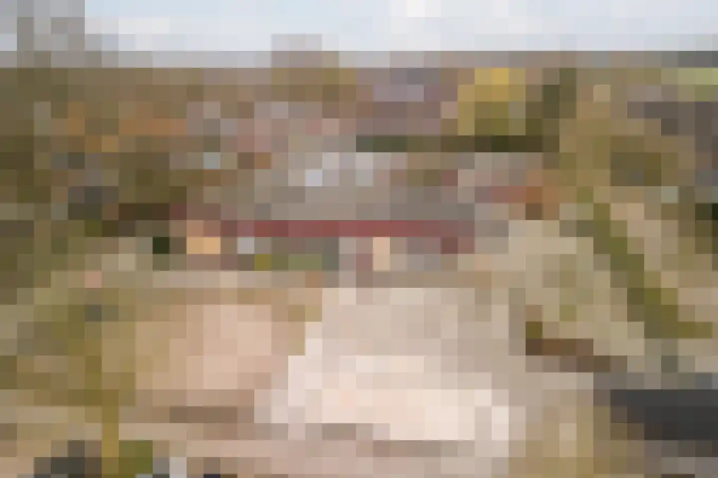 Beemke 9 Netersel thumbnail 52