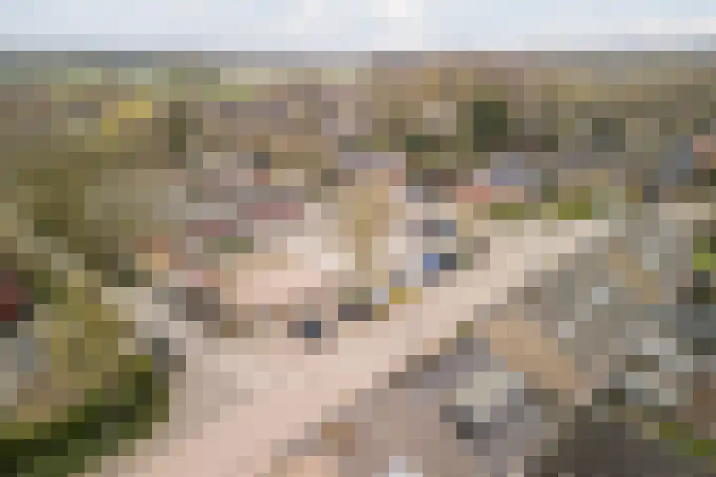 Beemke 9 Netersel thumbnail 54