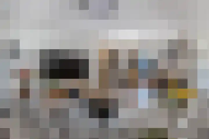 Beemster 11 Lelystad thumbnail 19