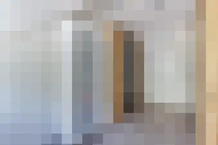 Beemster 11 Lelystad thumbnail 33