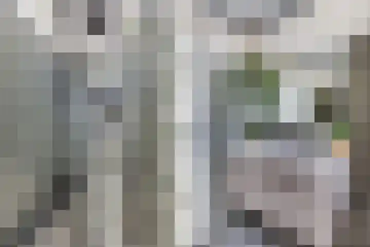 Beemster 11 Lelystad thumbnail 37