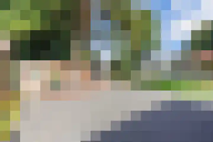 Beemster 11 Lelystad thumbnail 48