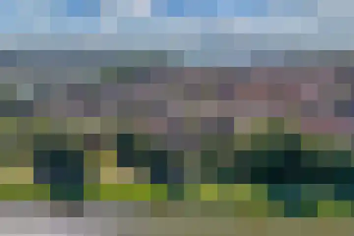 Beemster 11 Lelystad thumbnail 5
