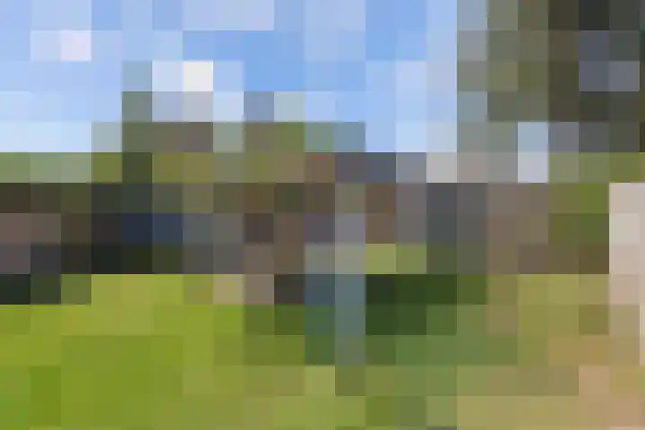 Beemster 11 Lelystad thumbnail 54
