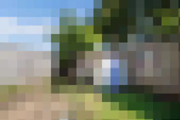 Beemster 11 Lelystad thumbnail 55