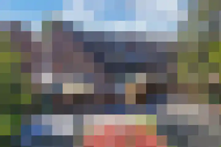 Beemster 11 Lelystad thumbnail 57