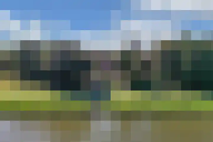 Beemster 11 Lelystad thumbnail 59