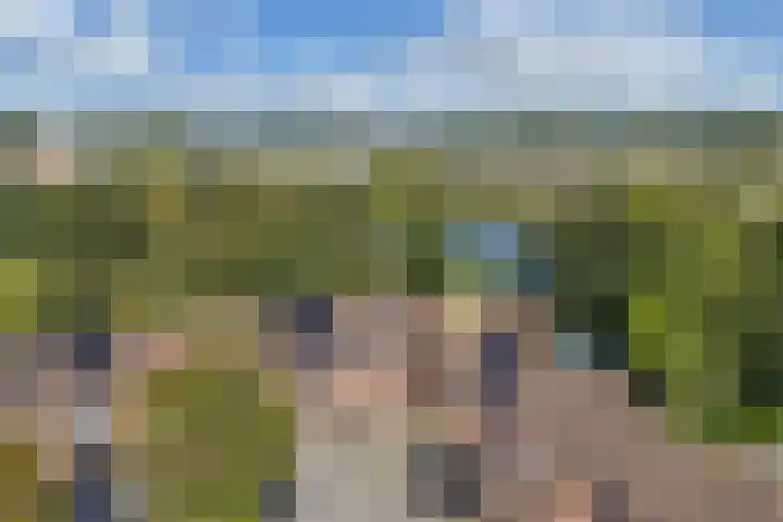 Beemster 11 Lelystad thumbnail 6