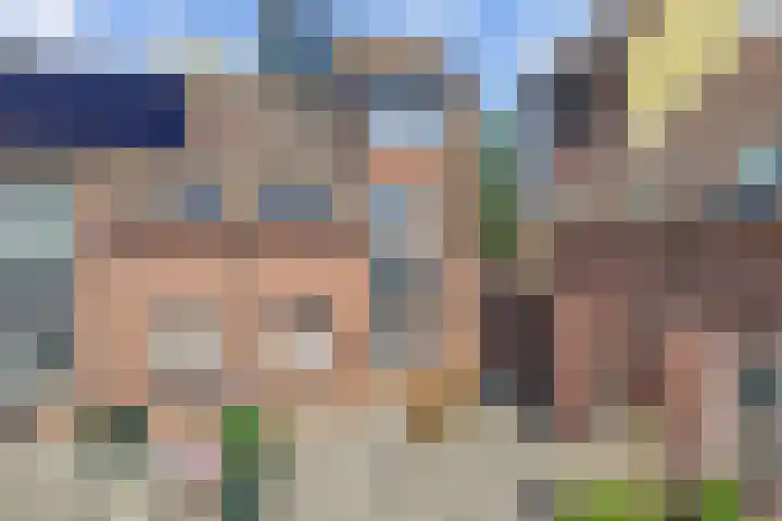 Beemster 11 Lelystad thumbnail 7