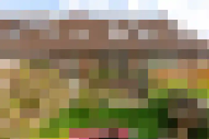 Beemster 112 Lelystad thumbnail 38