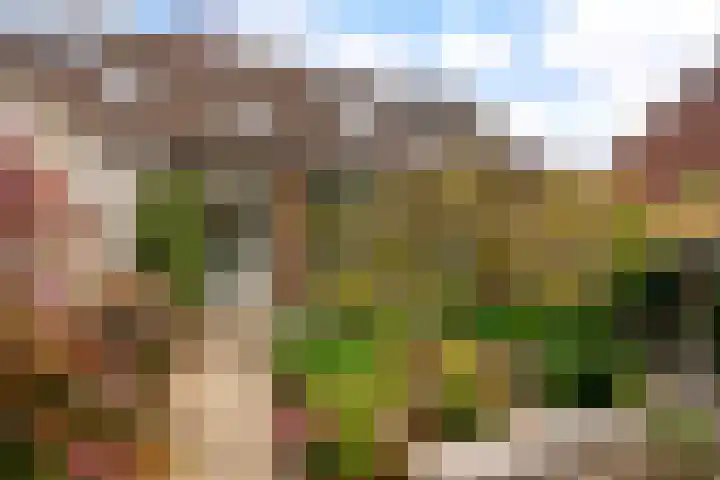 Beemster 112 Lelystad thumbnail 39