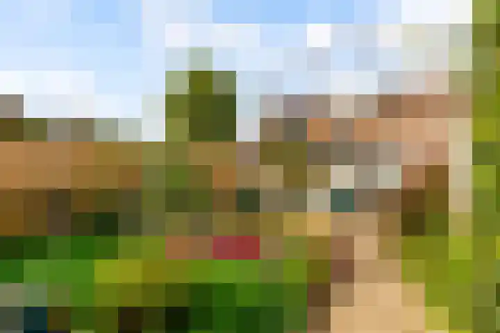 Beemster 112 Lelystad thumbnail 40