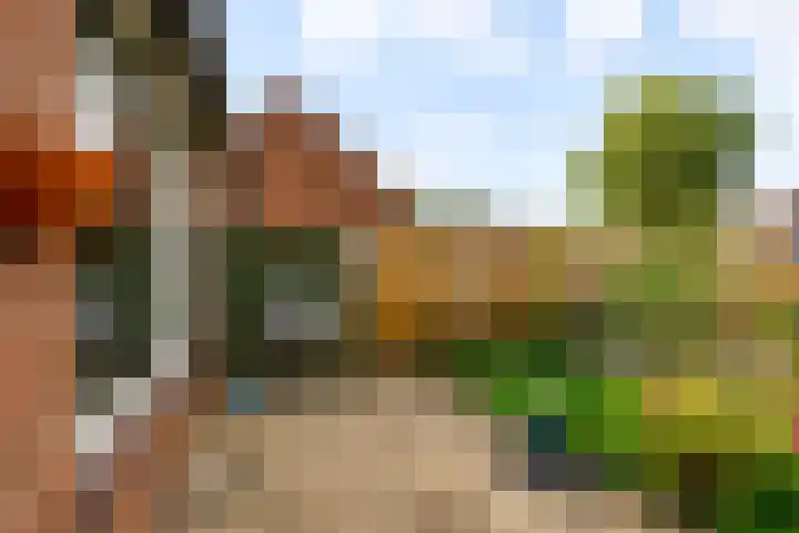 Beemster 112 Lelystad thumbnail 43