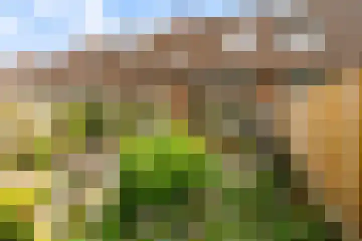 Beemster 112 Lelystad thumbnail 44