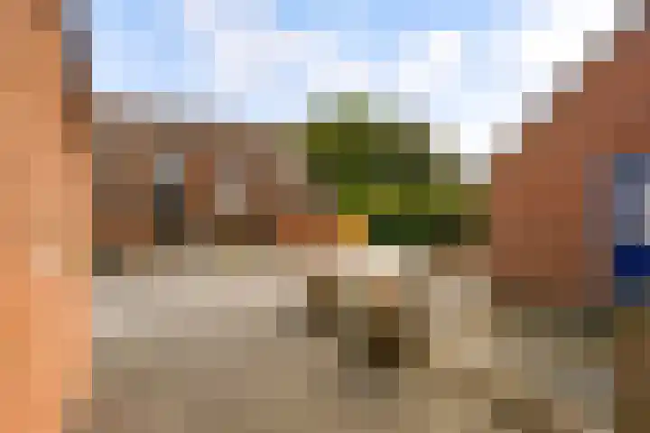 Beemster 112 Lelystad thumbnail 48