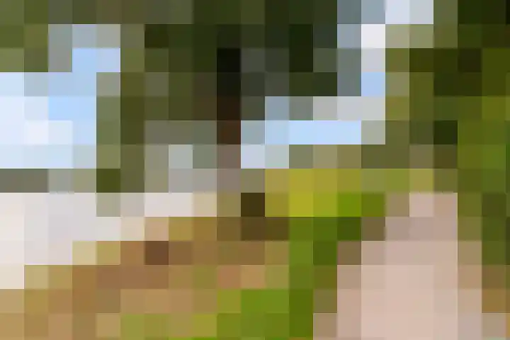 Beemster 112 Lelystad thumbnail 51