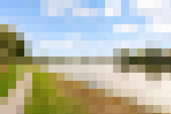 Beemster 112 Lelystad thumbnail 52