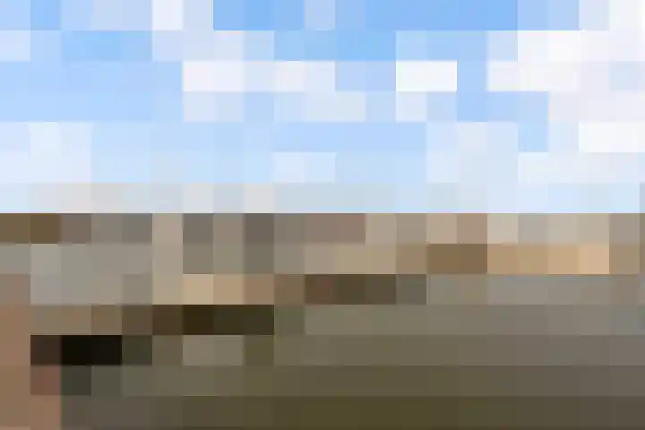 Beemster 112 Lelystad thumbnail 53