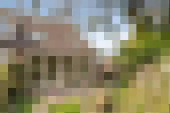 Beemster 113 Lelystad thumbnail 23