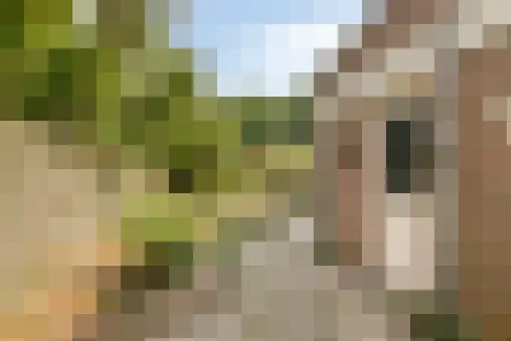 Beemster 113 Lelystad thumbnail 25