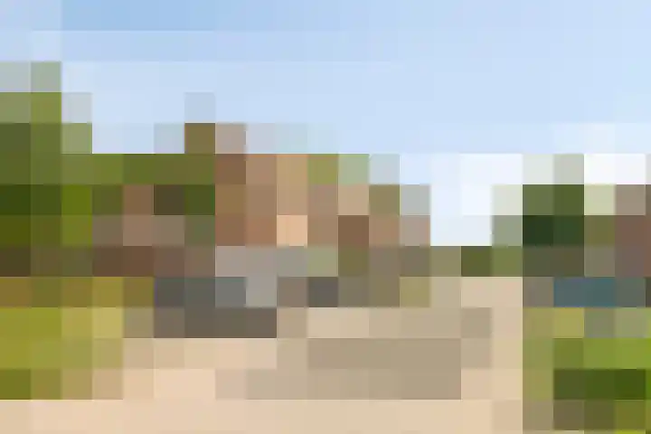 Beemster 113 Lelystad thumbnail 28