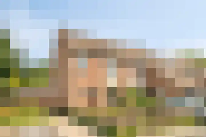 Beemster 113 Lelystad thumbnail 4