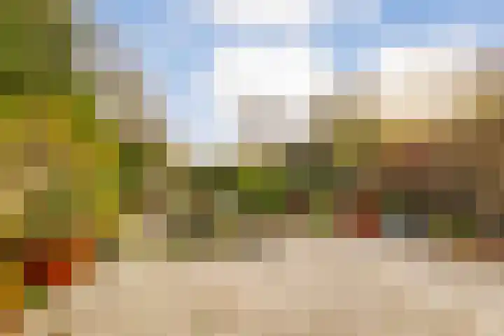 Beemster 115 Lelystad thumbnail 32