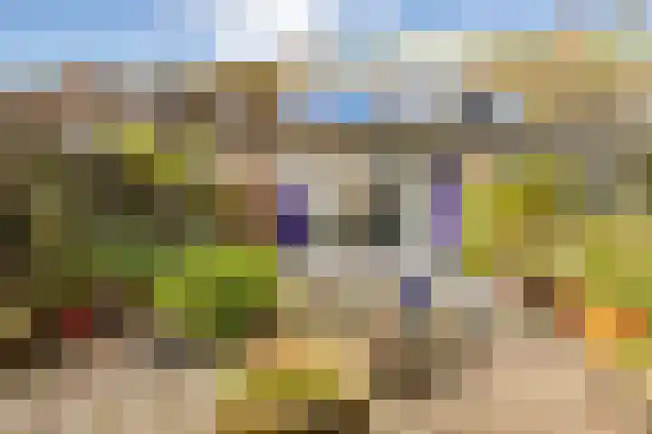 Beemster 115 Lelystad thumbnail 33