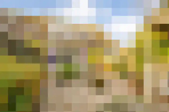 Beemster 115 Lelystad thumbnail 34