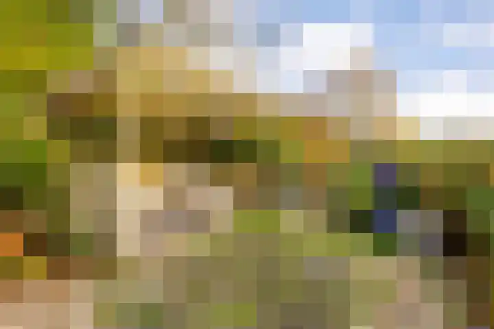 Beemster 115 Lelystad thumbnail 35