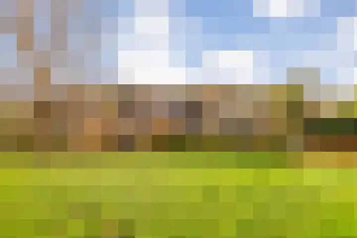 Beemster 115 Lelystad thumbnail 36