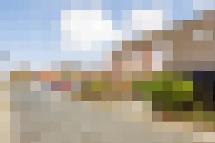 Beemster 115 Lelystad thumbnail 37
