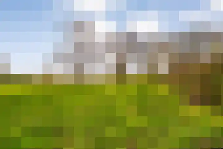 Beemster 115 Lelystad thumbnail 38