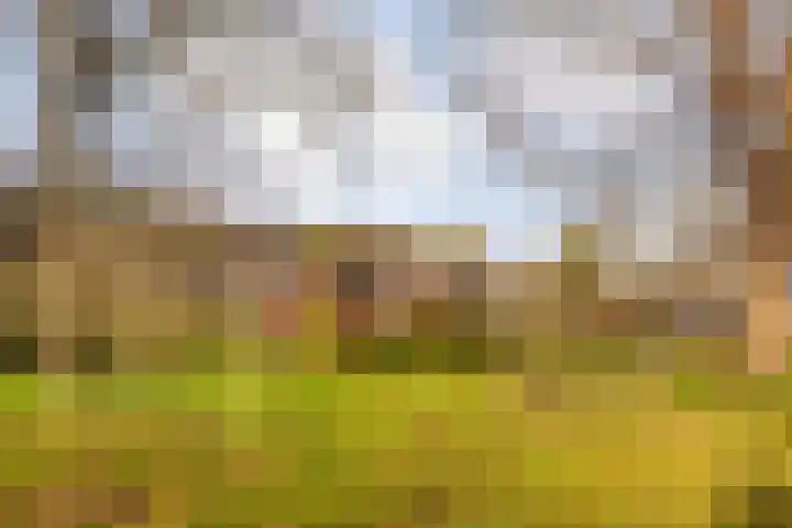 Beemster 115 Lelystad thumbnail 39