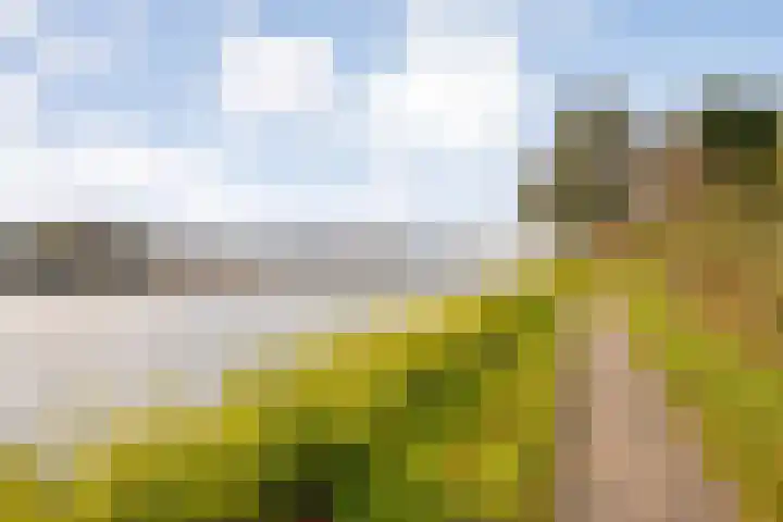 Beemster 115 Lelystad thumbnail 40