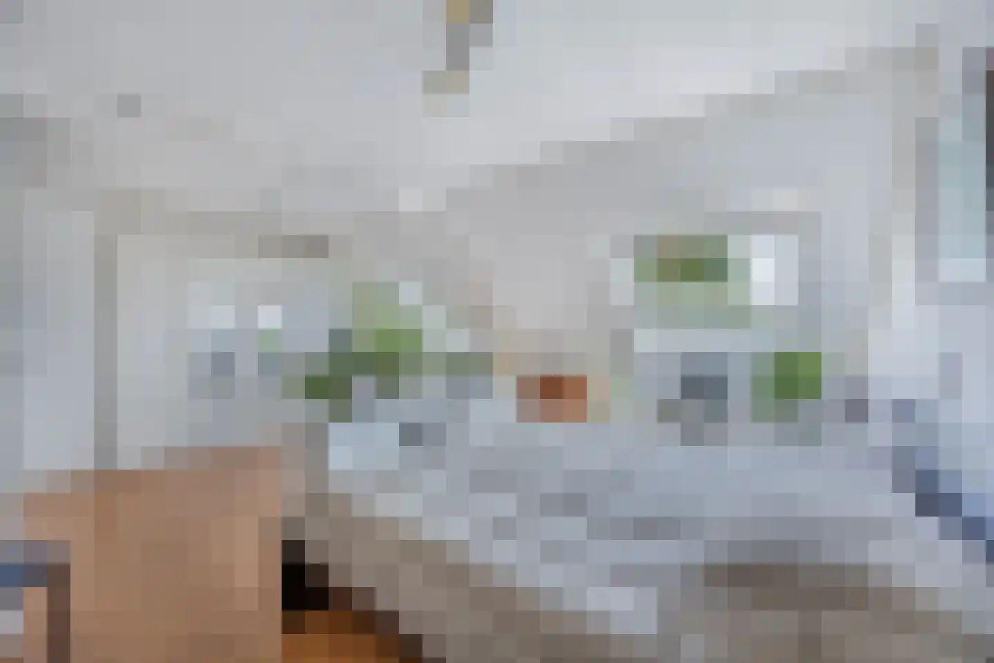 Beemster 117 Lelystad thumbnail 30