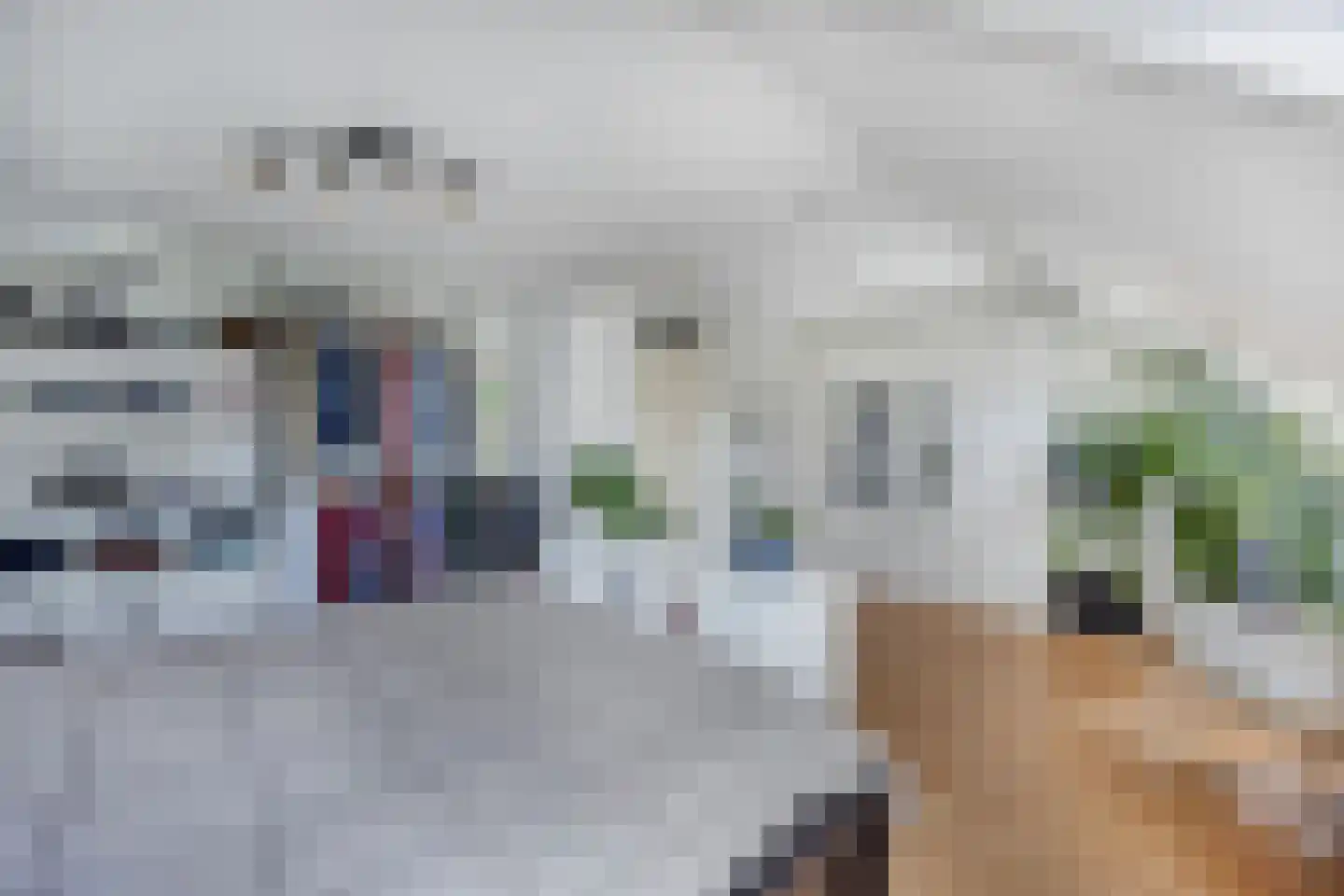 Beemster 117 Lelystad thumbnail 32
