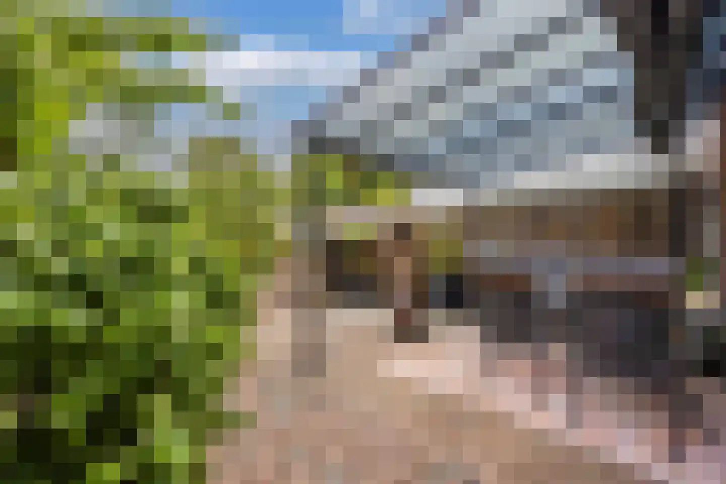 Beemster 117 Lelystad thumbnail 47