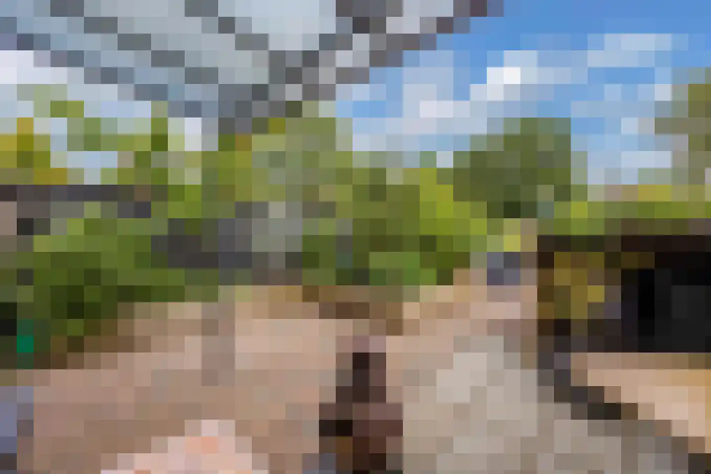 Beemster 117 Lelystad thumbnail 48