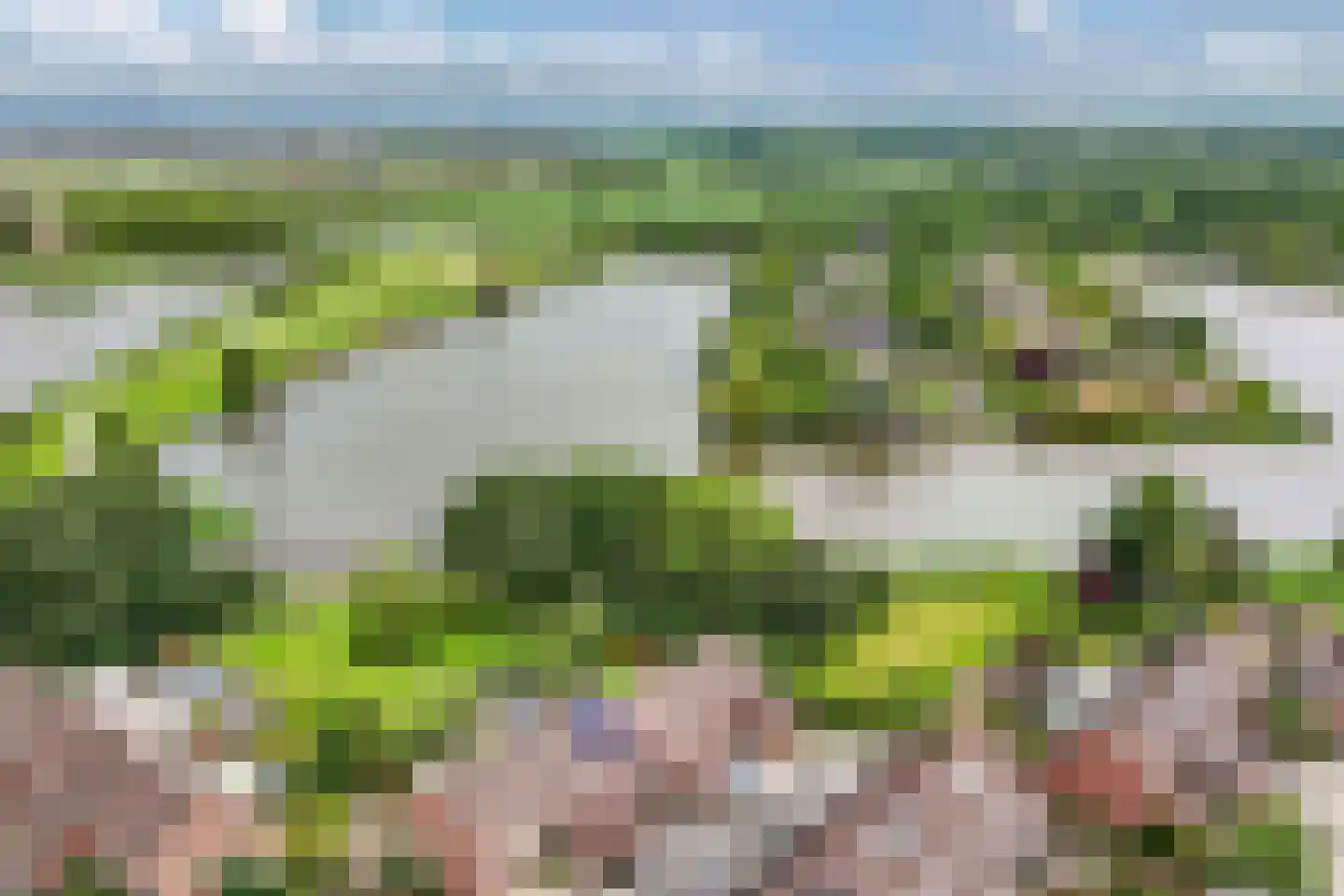 Beemster 117 Lelystad thumbnail 6