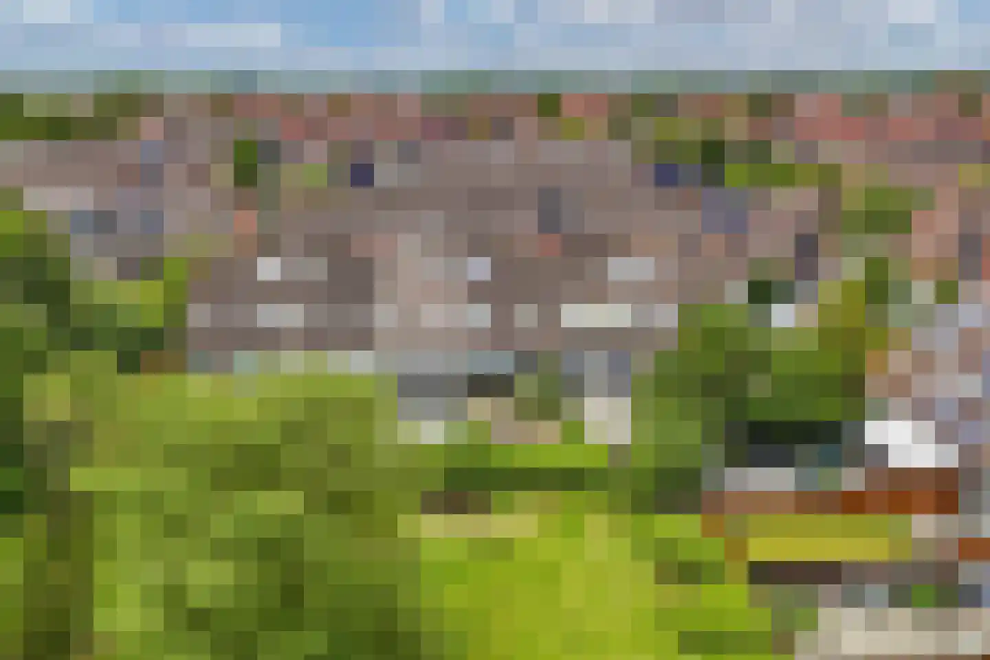 Beemster 117 Lelystad thumbnail 60