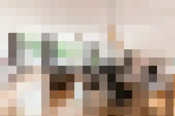 Beemster 19 Lelystad thumbnail 18