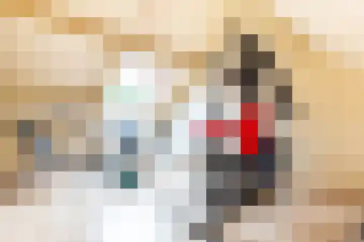 Beemster 19 Lelystad thumbnail 32