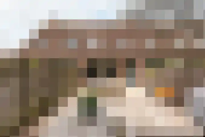Beemster 19 Lelystad thumbnail 34