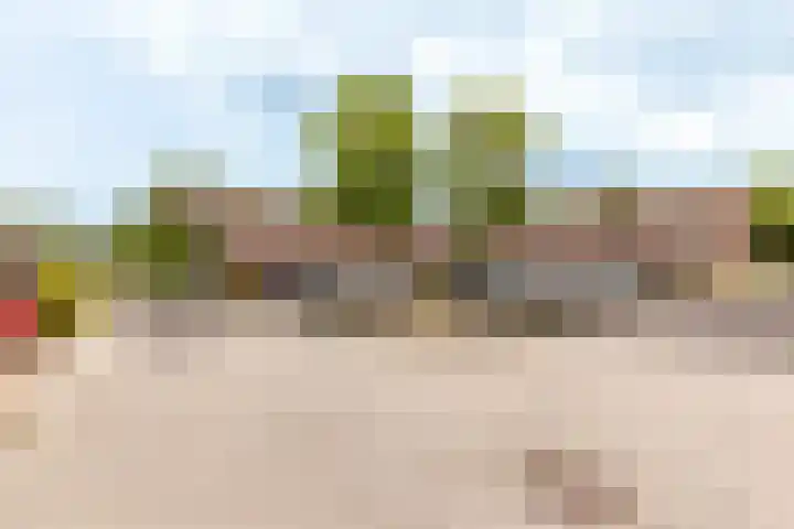 Beemster 19 Lelystad thumbnail 38