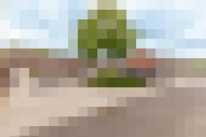 Beemster 19 Lelystad thumbnail 39