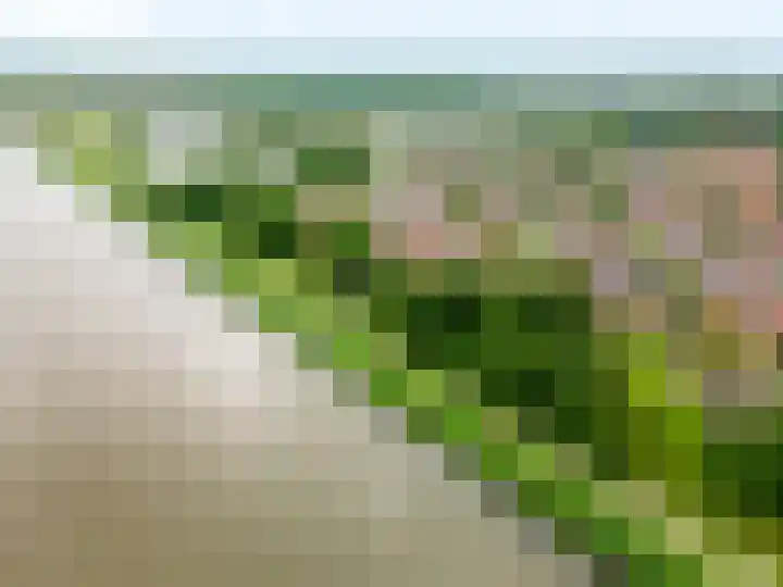 Beemster 19 Lelystad thumbnail 5